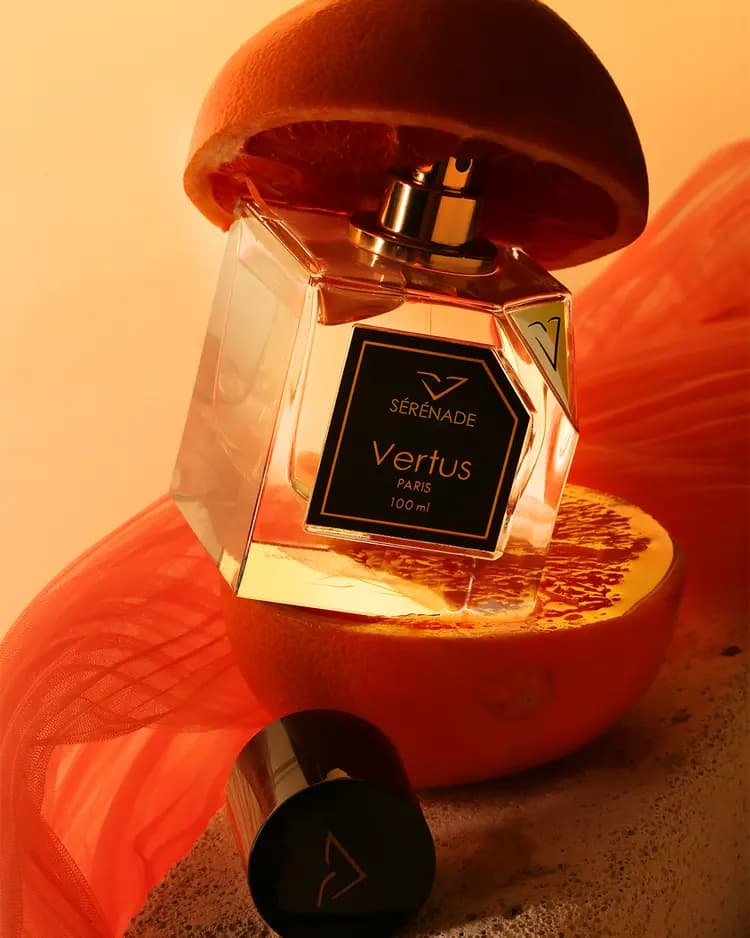 https://images.vertus.online/vertus/1-01JMTZA52YAHF2MBW6F936PSZ0-01JNDTXYK95662QCDB9AMPNYDE.webp