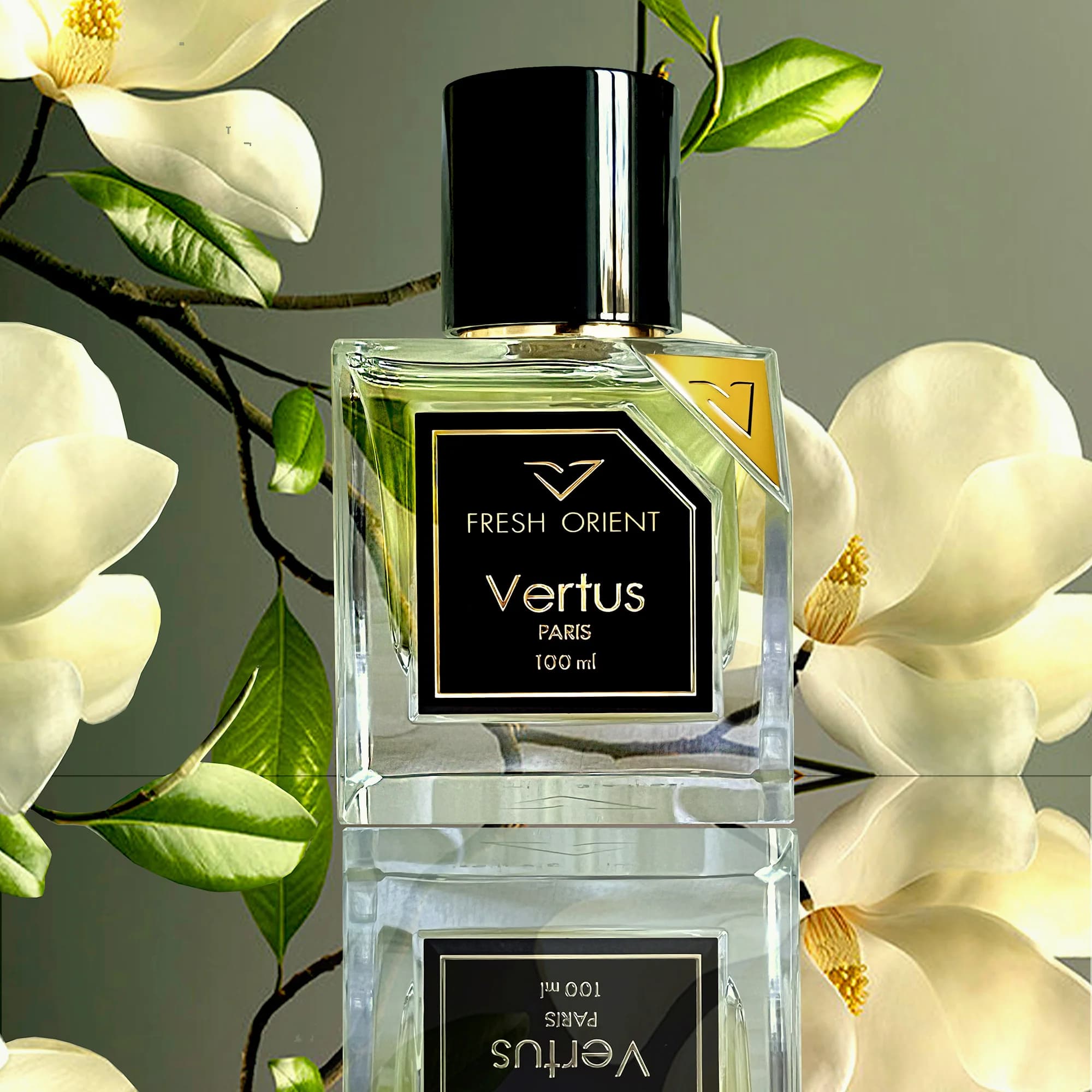 https://images.vertus.online/vertus/1-01JNE08562R6ZVFEPQ0XHWZ3D3.webp