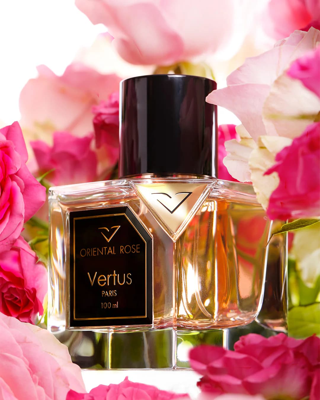 https://images.vertus.online/vertus/1-01JNE0DJCFA3JJA17A4TQWTWBK.webp