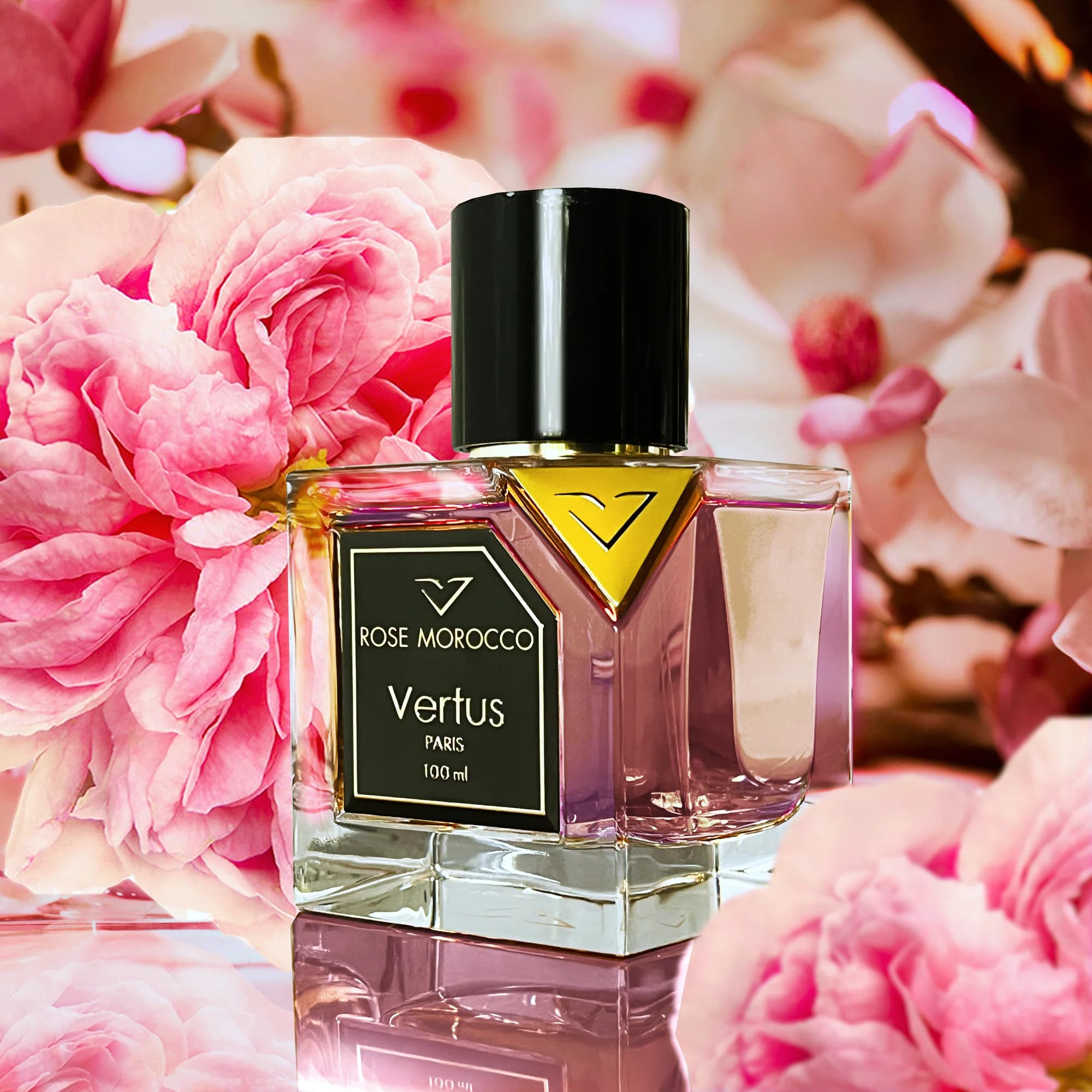 https://images.vertus.online/vertus/1-01JNE0GVSB7WNA8KEDS4BFCBAJ.webp