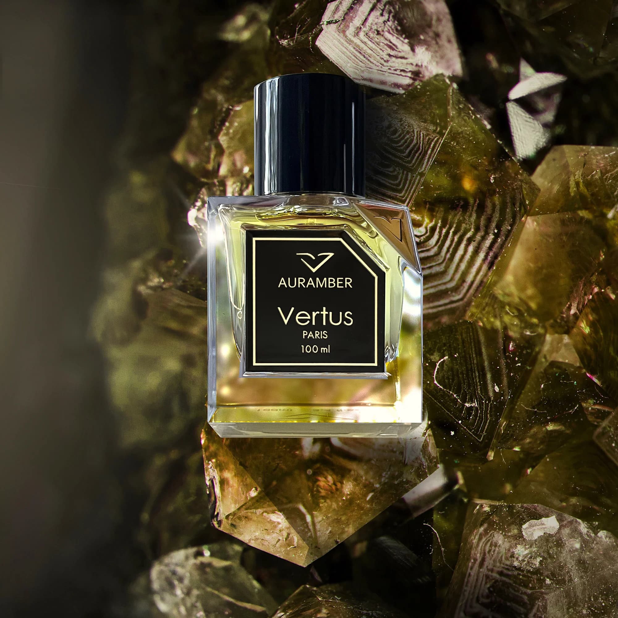 https://images.vertus.online/vertus/1-01JNE0YHMJ984JQNV8E4M6BD1W.webp