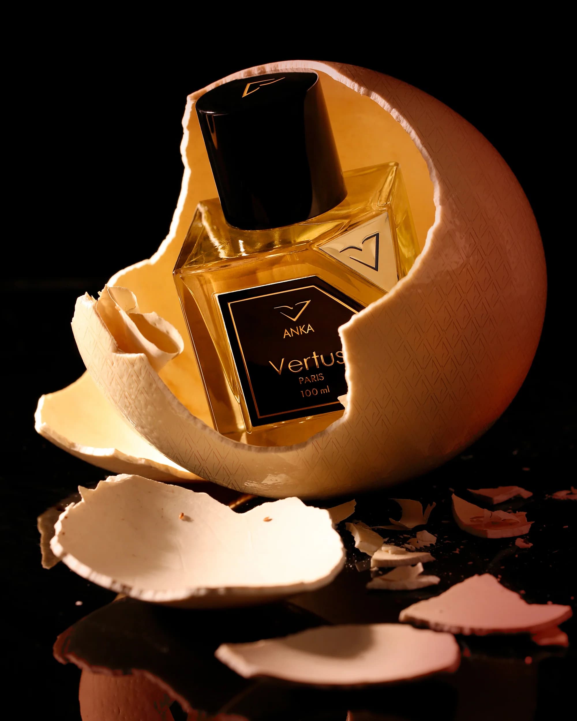 https://images.vertus.online/vertus/1-01JNE14SS6FD04BAV9W3RN9QWH.webp