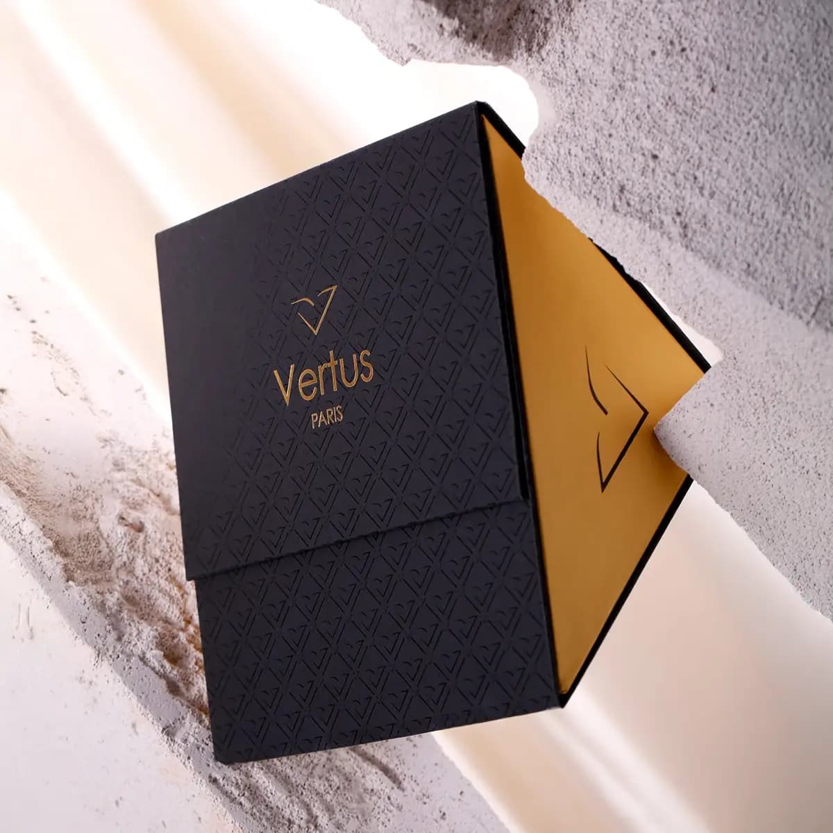 https://images.vertus.online/vertus/3-01JHRTCES86JBAPFPASFJNEBAQ-01JMPQYDNA54DMAE36DYR6E333.webp