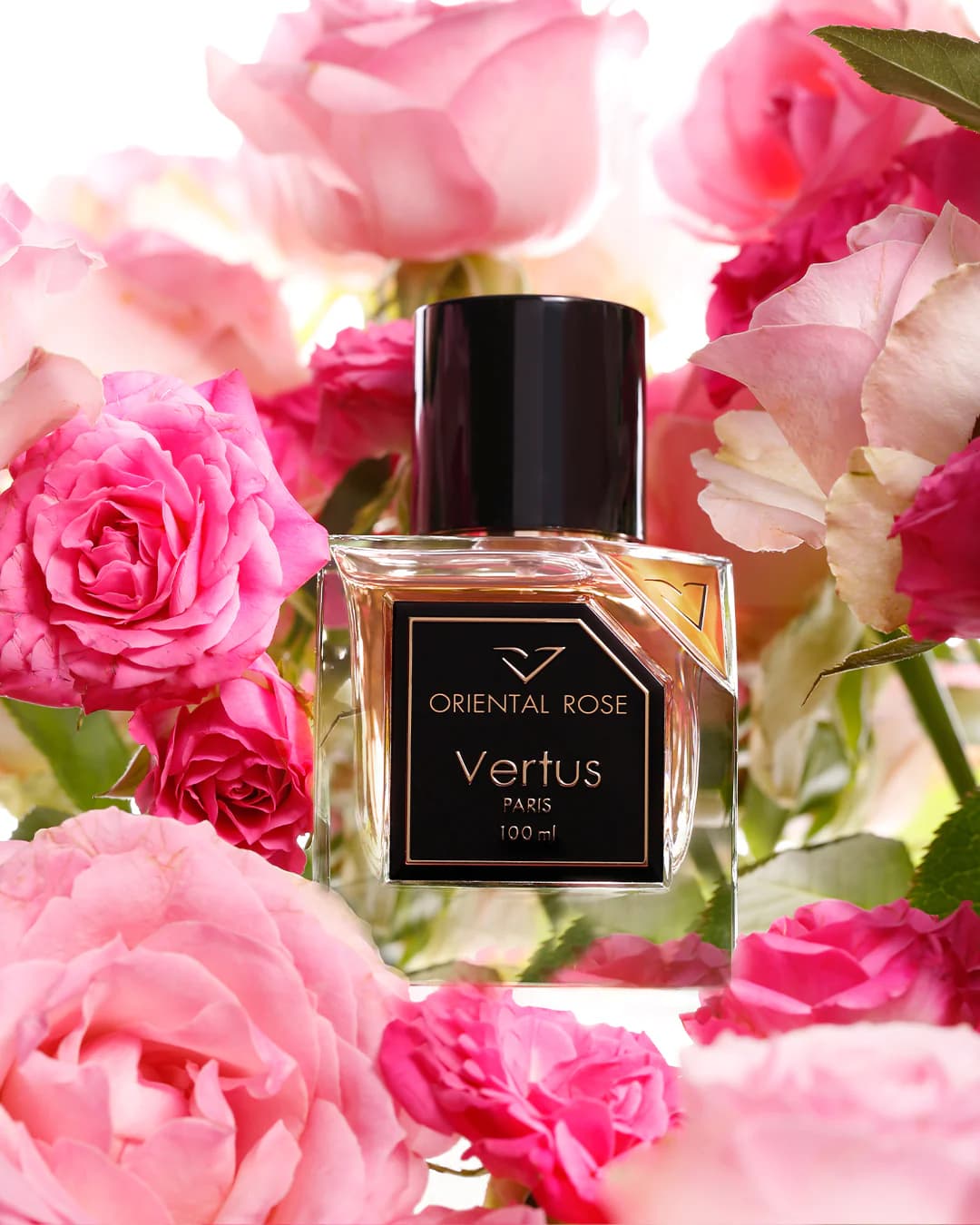 https://images.vertus.online/vertus/3-01JNE0DJCJDBAHRKK5QVJ7EP7A.webp