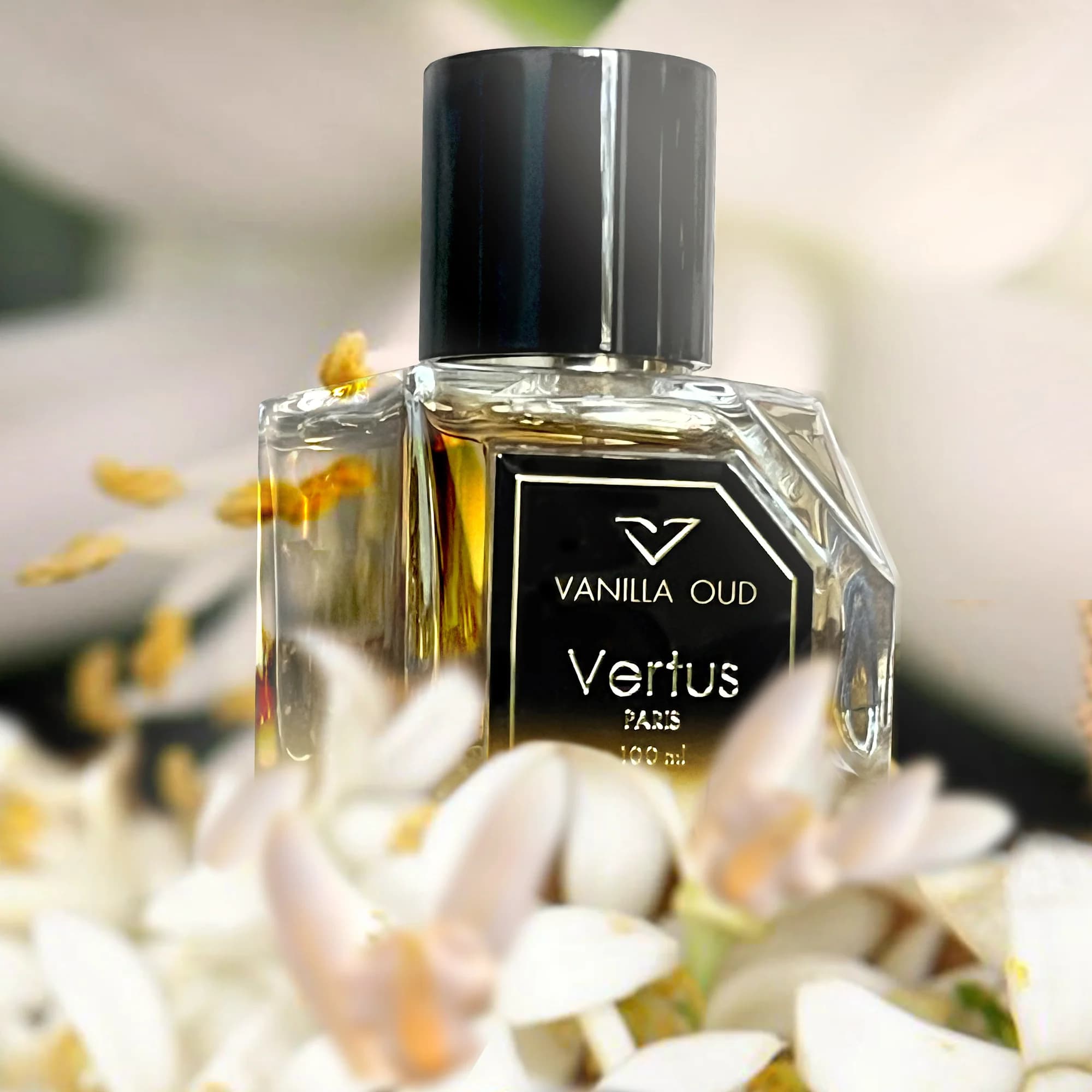 https://images.vertus.online/vertus/3-01JNE0TTJ2WRZVX8Q7DVSZCJBJ.webp