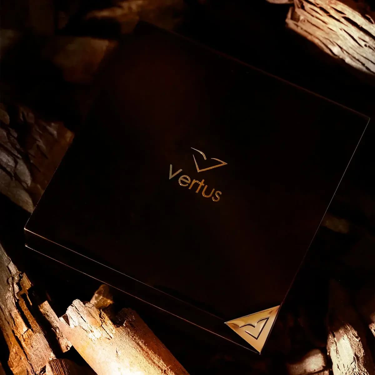 https://images.vertus.online/vertus/5-01JMPT6CPSHZ1WXPRRWZHAHRRH.webp